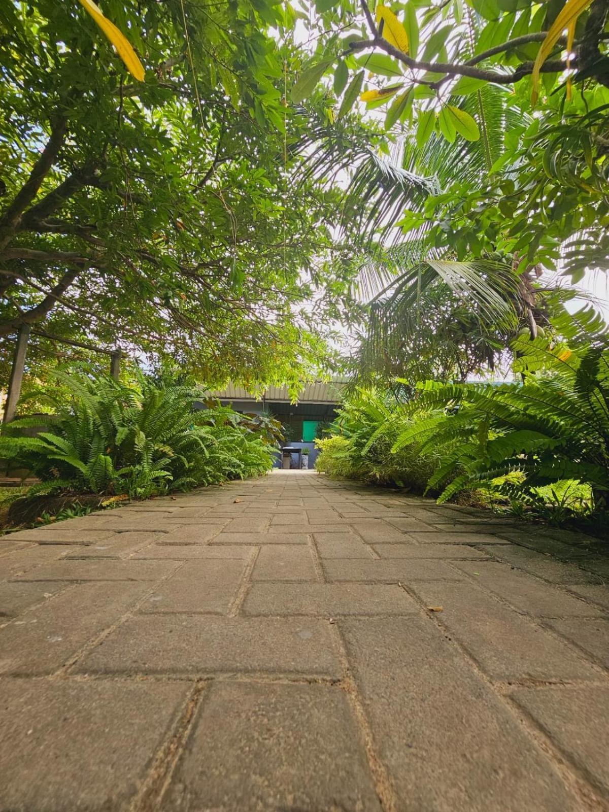 Optimum Residencies Bed & Breakfast เนกอมโบ ภายนอก รูปภาพ
