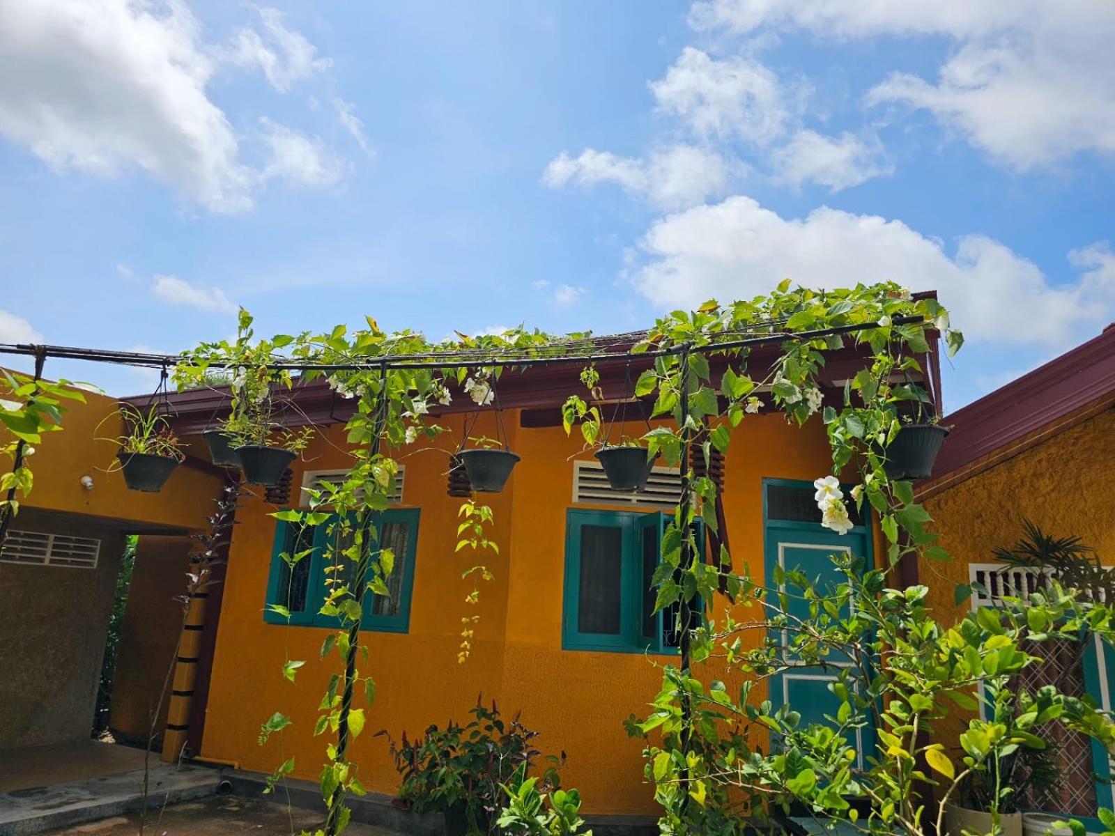 Optimum Residencies Bed & Breakfast เนกอมโบ ภายนอก รูปภาพ